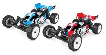 Team Associated Rb10 Rtr. (ASS90031 / ASS90032)