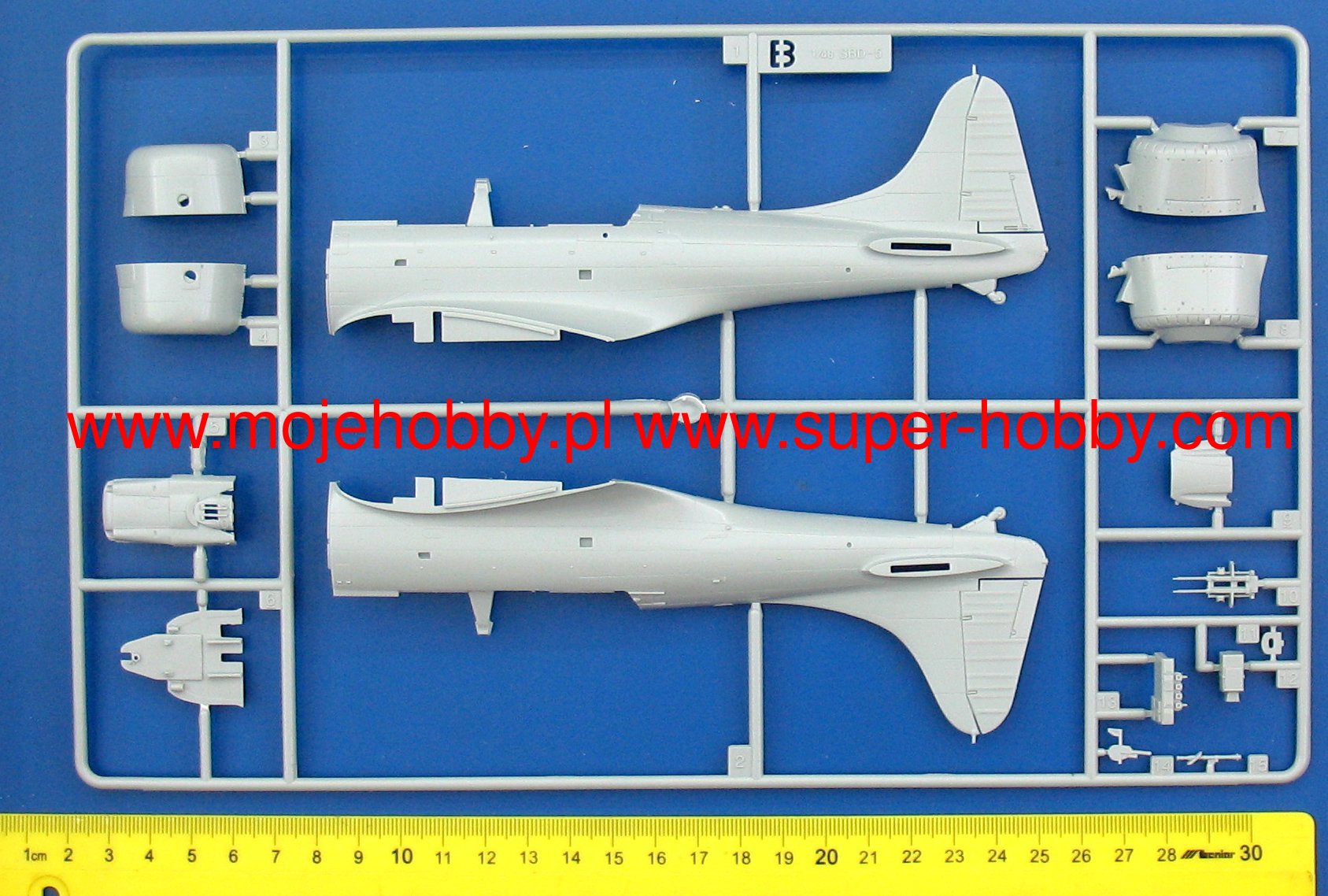 Academy 12329 1/48 Scale USN Douglas SBD-5 Dauntless "Battle of the Philippine Sea"atre" - [Sunshine-Coast] - Academy - [RC-Car] - [Scale-Model]