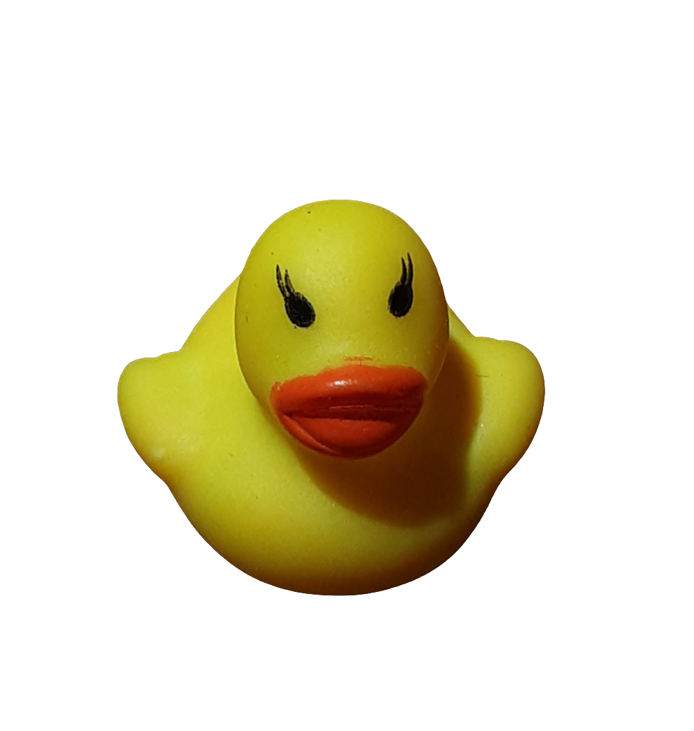 Dave The Techtonic Duck