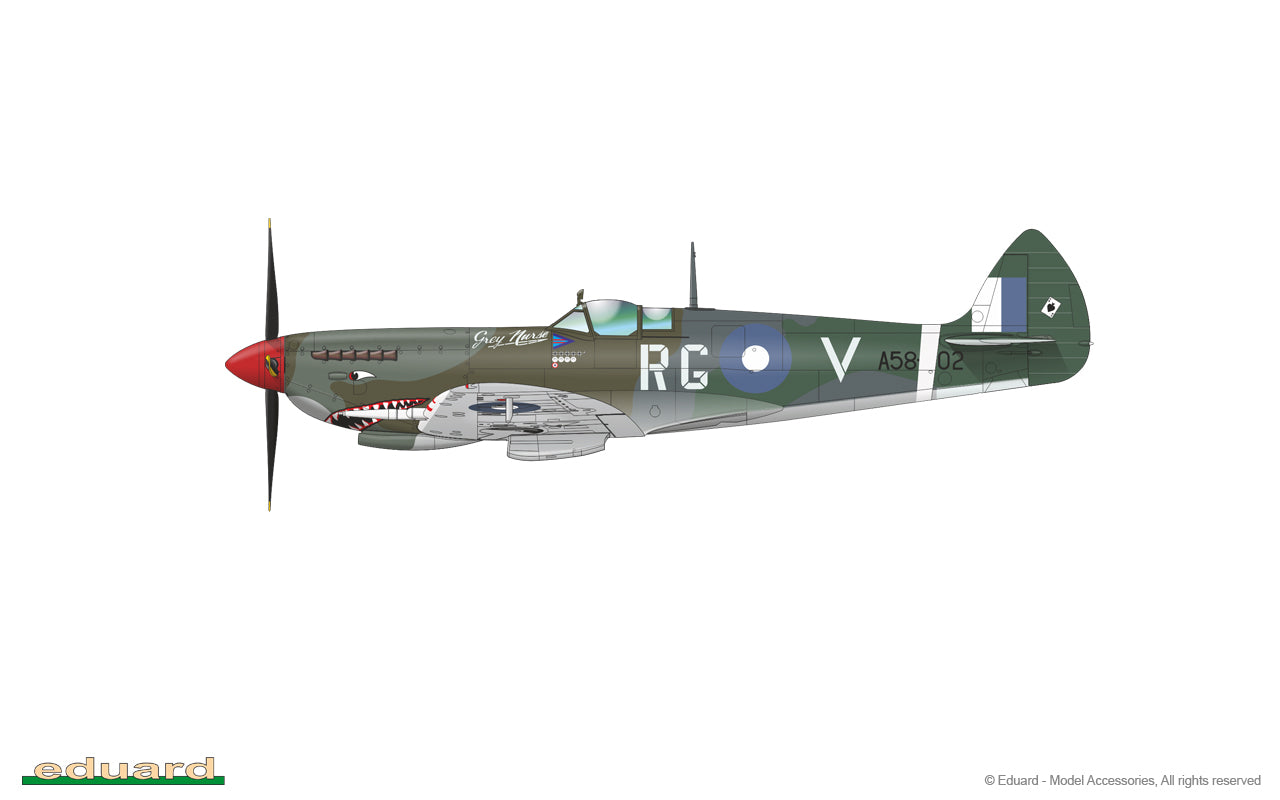 Eduard 70128 1/72 Scale Supermarine Spitfire Mk. VIII - Techtonic Hobbies - Eduard