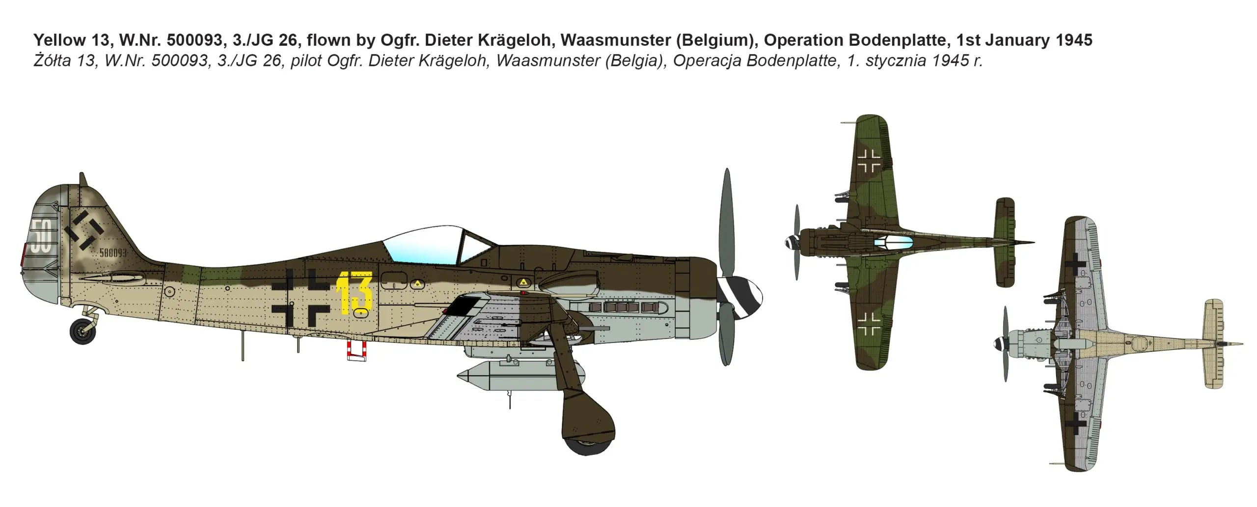 IBG 72536 1/72 Scale Focke-Wulf Fw 190D-9 Mimetall Plastic Model Kit - Techtonic Hobbies - IBG