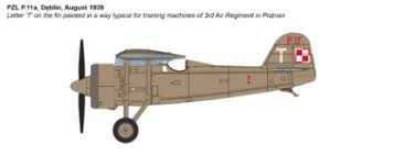 IBG 72529 1/72 Scale, Polish WW2 Combat trainers (2 in 1) PZL P.11A-PZL.23A Plastic Model Kit (Scale Model) - Techtonic Hobbies - IBG