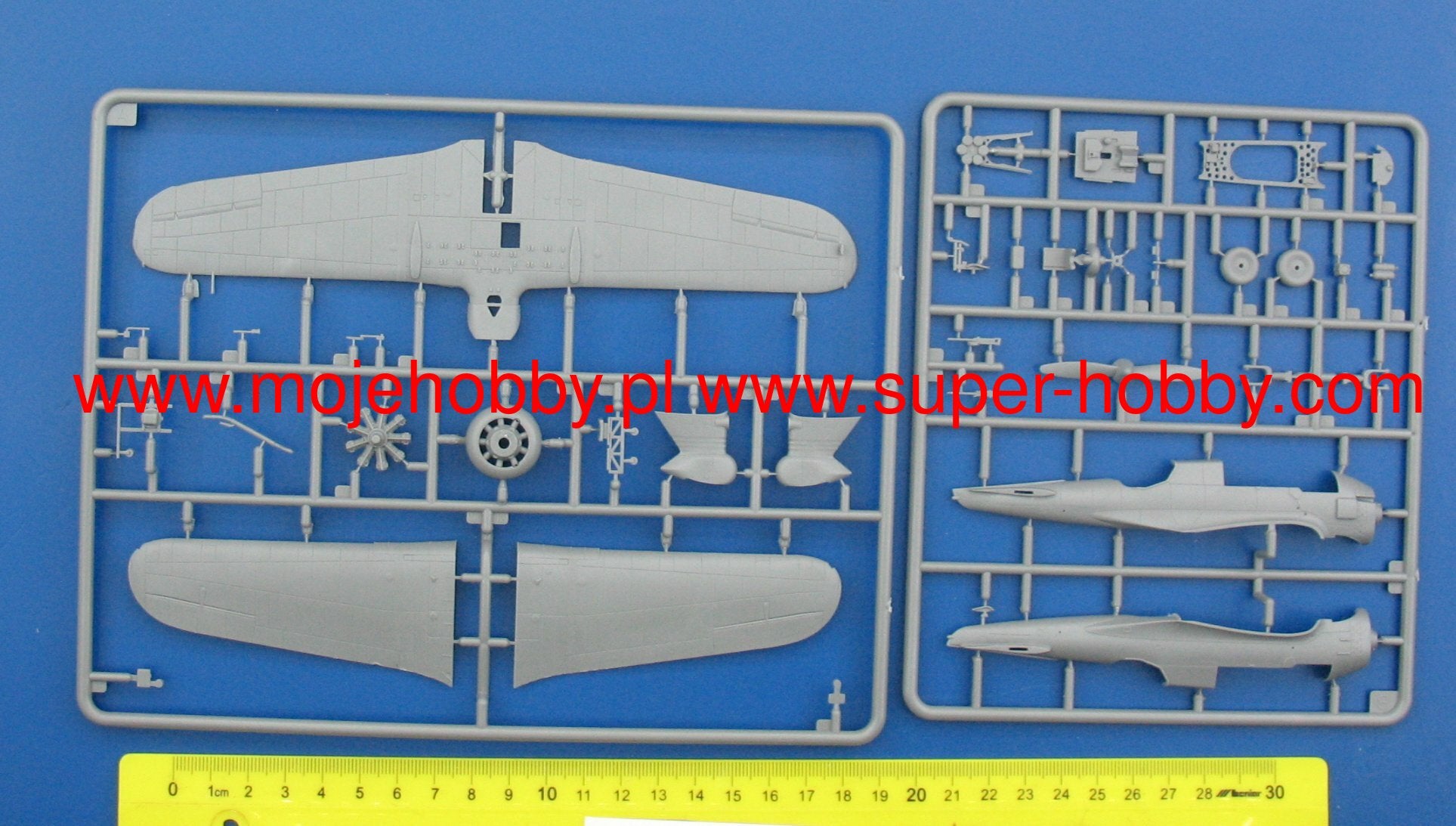 IBG 72529 1/72 Scale, Polish WW2 Combat trainers (2 in 1) PZL P.11A-PZL.23A Plastic Model Kit (Scale Model) - Techtonic Hobbies - IBG