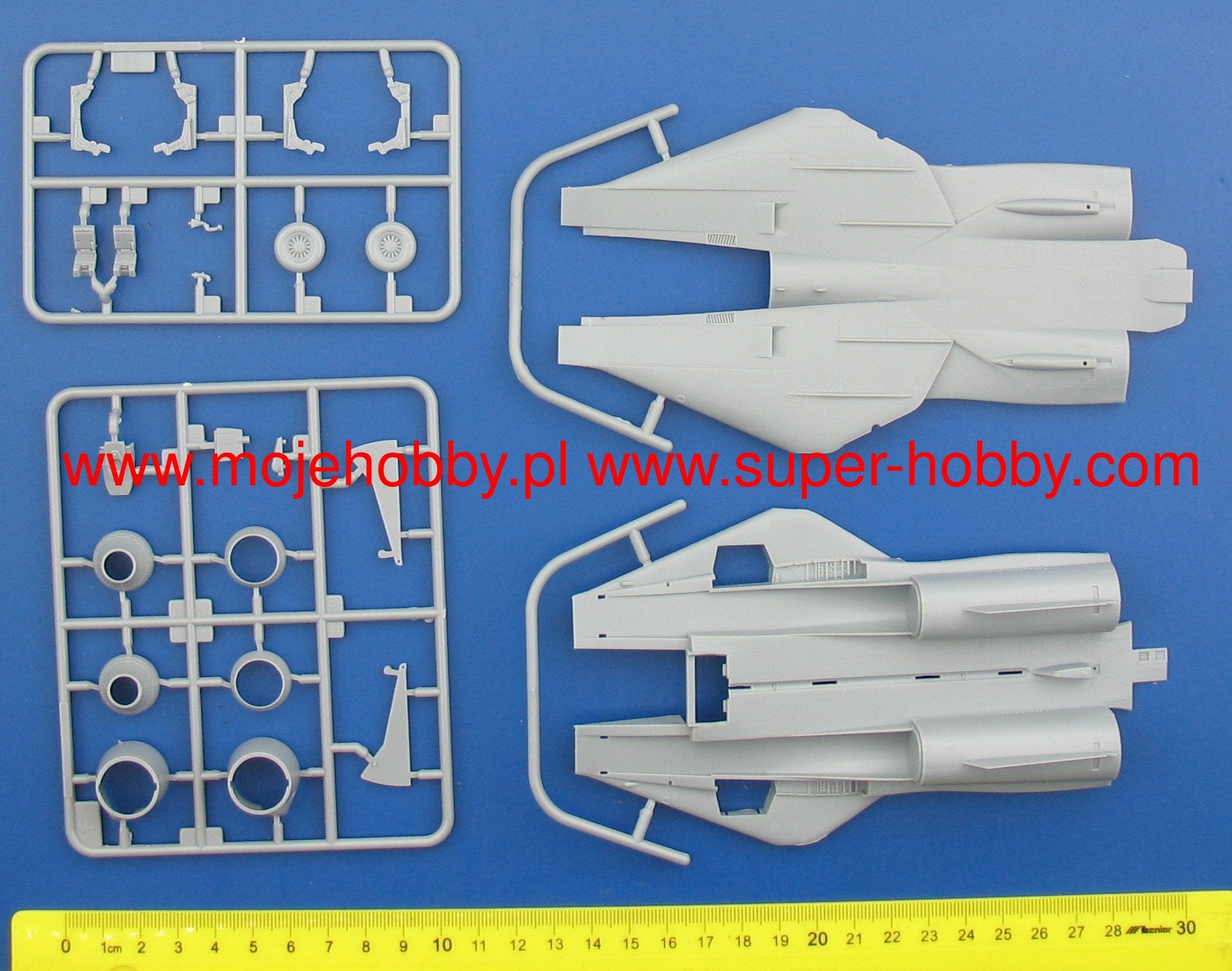 Hobby Boss 80279 1/72 Scale Grumman F-14A Tomcat (VF-1 Wolf Pack) Easy Assembly Plastic Model Kit(Scale Model) - Techtonic Hobbies - Hobby Boss